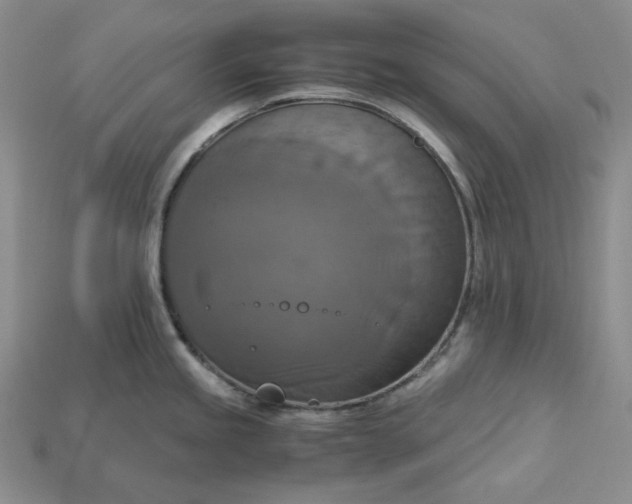 X0000115181245200911121754