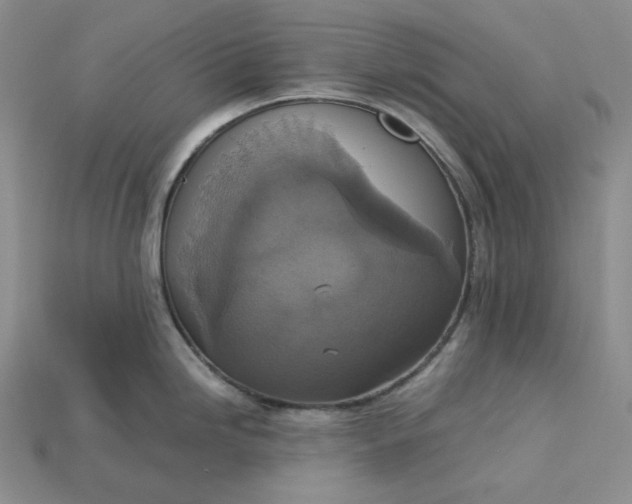 X0000115181246200911121754