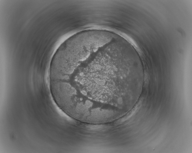 X0000115181247200911121754