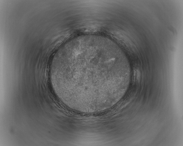 X0000115181250200911121753