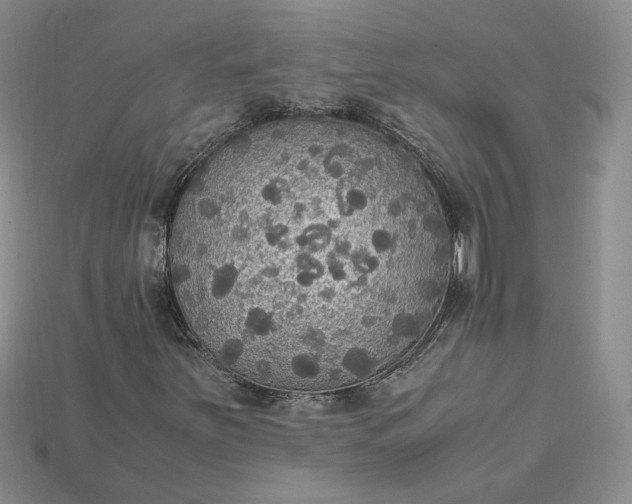 X0000115181251200911121753