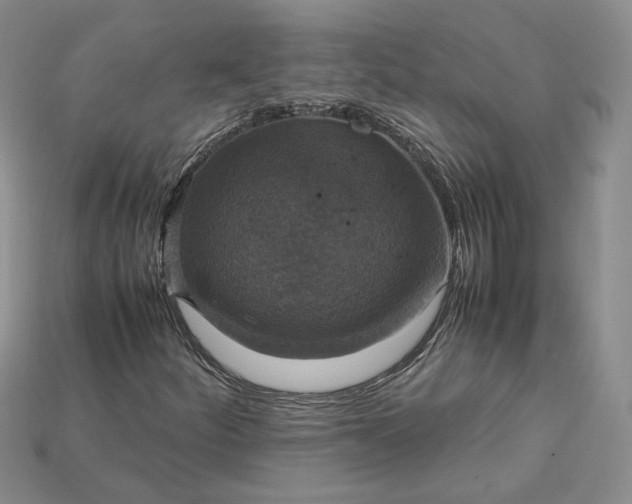 X0000115181252200911121753