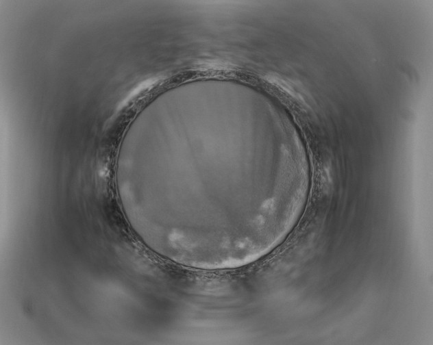 X0000115181254200911121753