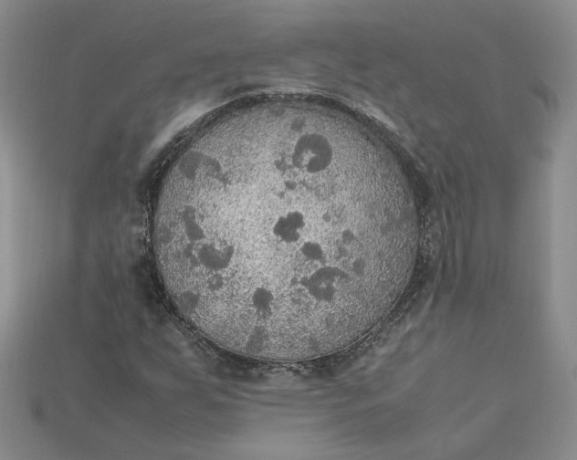 X0000115181255200911121753