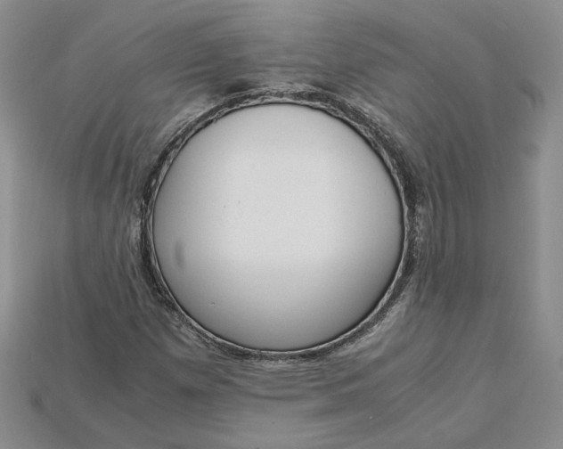 X0000115181257200911121753