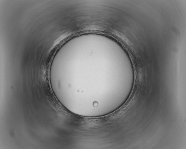 X0000115181258200911121753