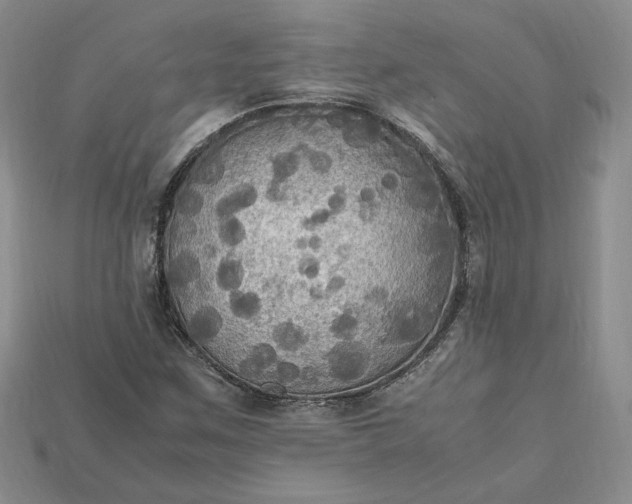 X0000115181259200911121753