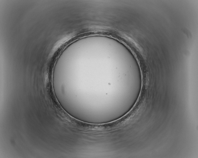 X0000115181261200911121753