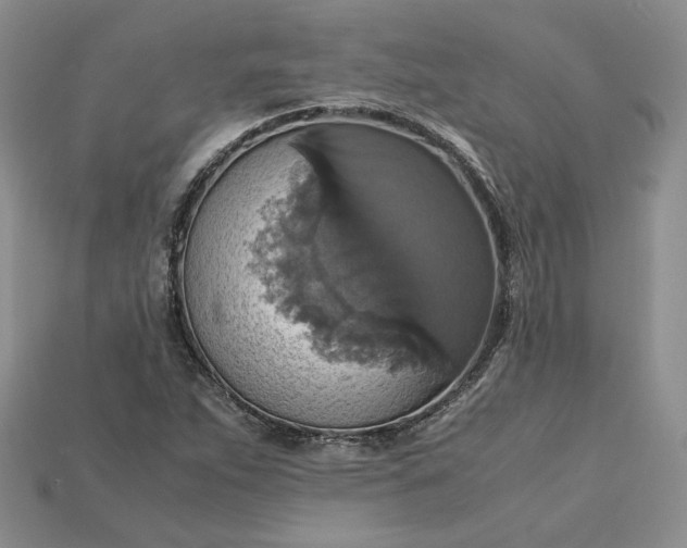 X0000115181263200911121753