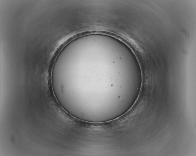 X0000115181264200911121753