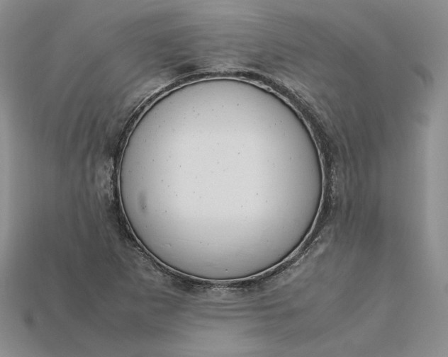 X0000115181265200911121753