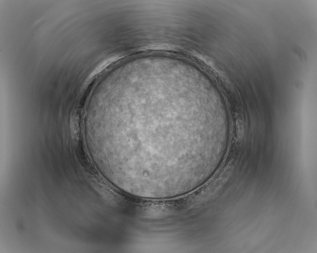 X0000115181266200911121753