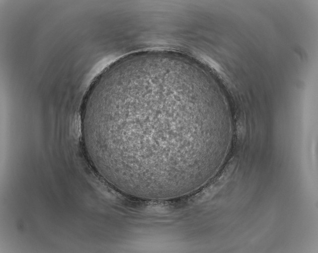 X0000115181267200911121753