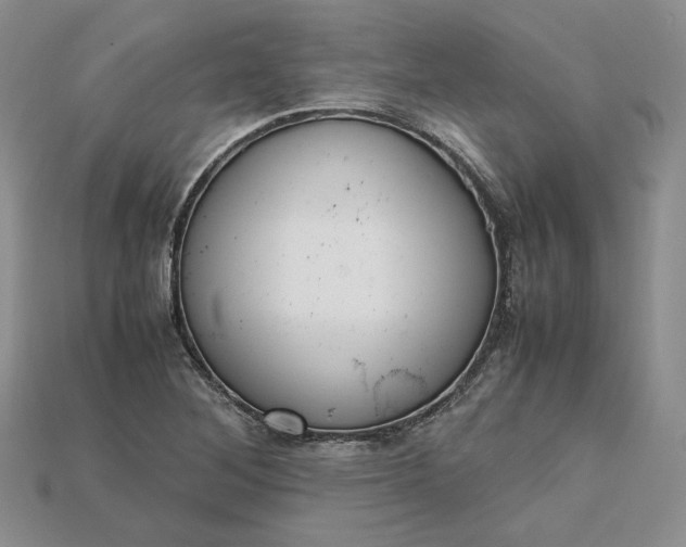 X0000115181268200911121753