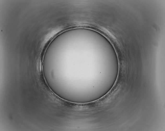 X0000115181269200911121753
