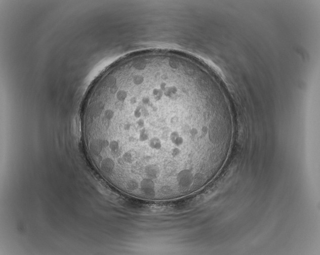 X0000115181271200911121753