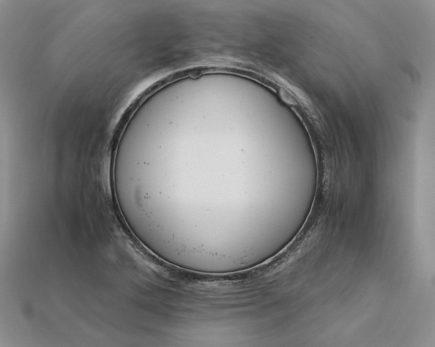 X0000115181272200911121753