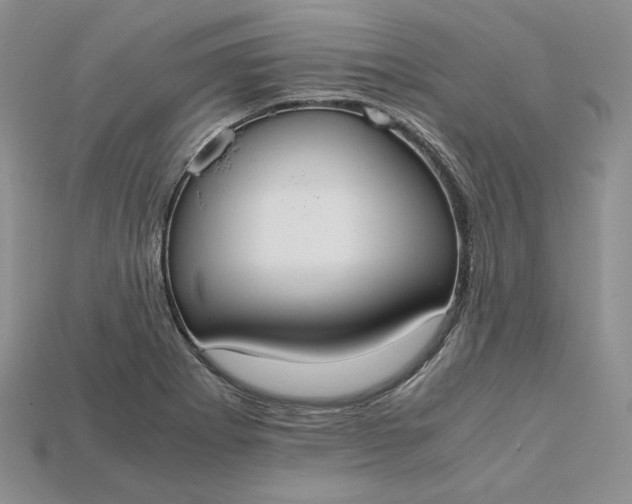 X0000115181273200911121753