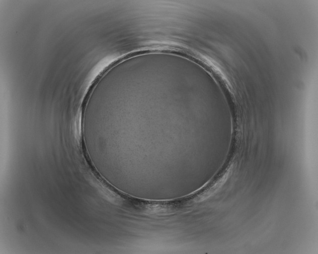 X0000115181275200911121753