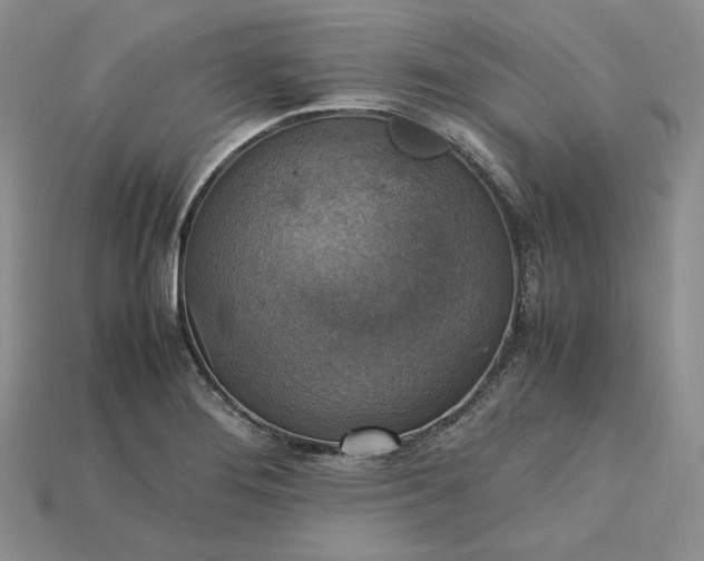 X0000115181276200911121753