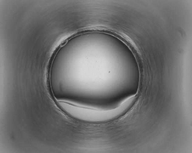 X0000115181277200911121753