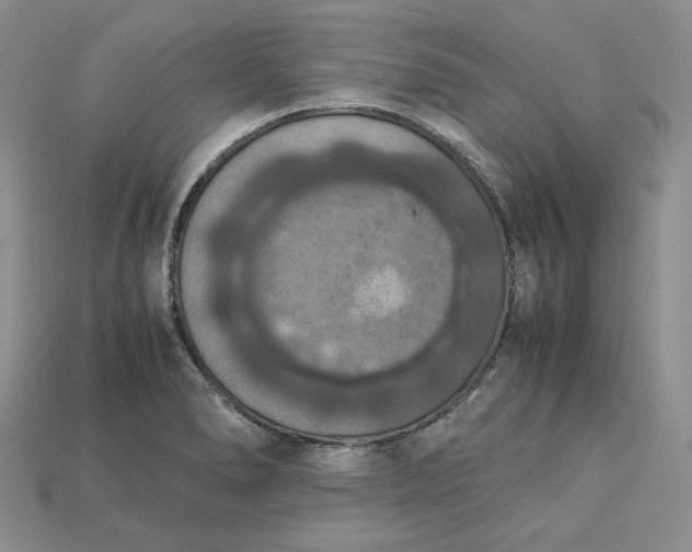X0000115181278200911121753