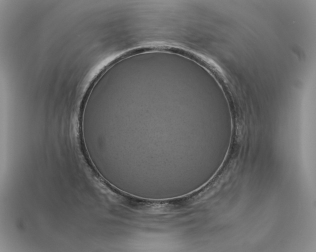 X0000115181279200911121753