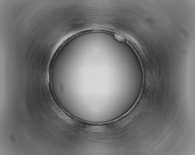 X0000115181280200911121753