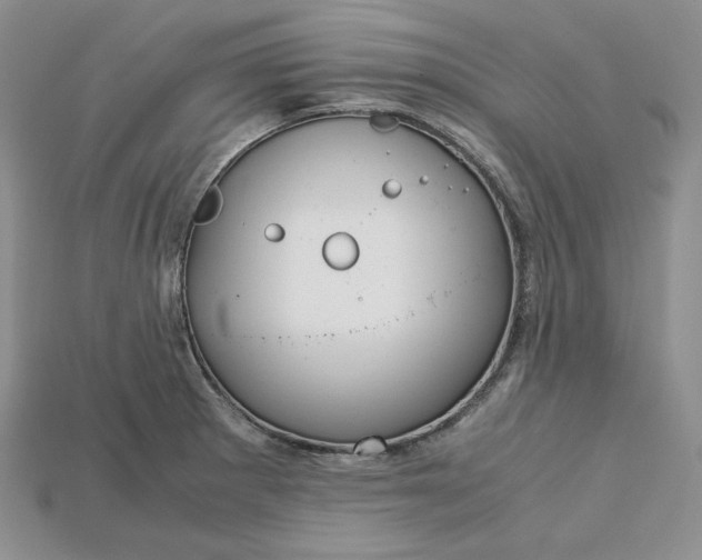 X0000115181281200911121753