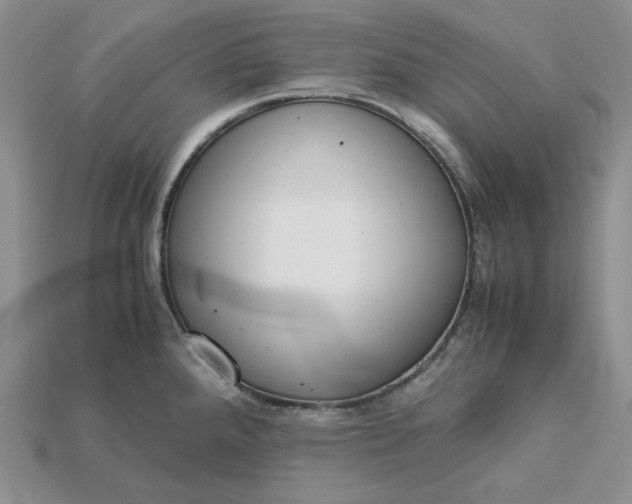 X0000115181288200911121753
