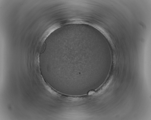 X0000115181289200911121753