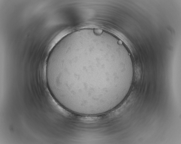 X0000115181290200911121753