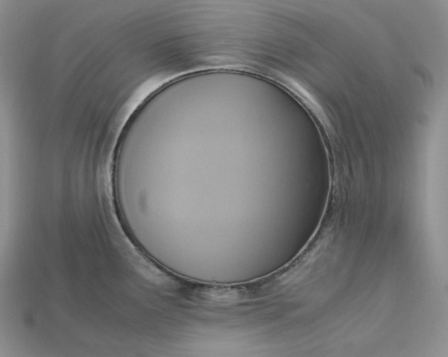 X0000115181291200911121753