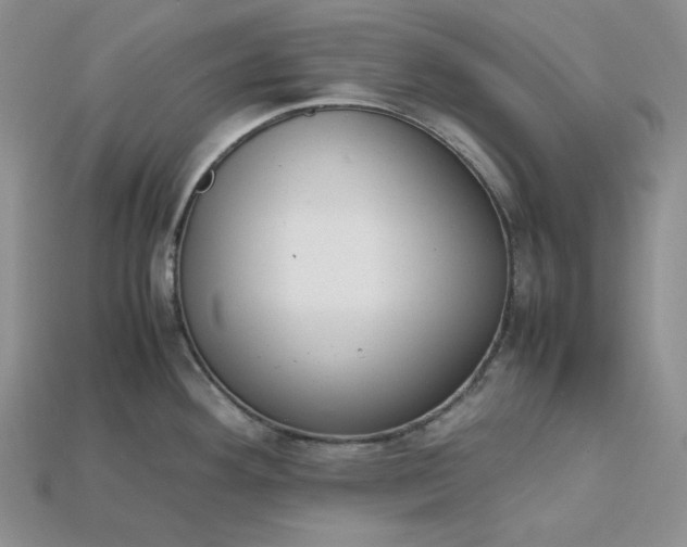 X0000115181292200911121753