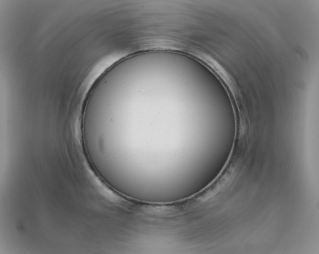 X0000115181293200911121753