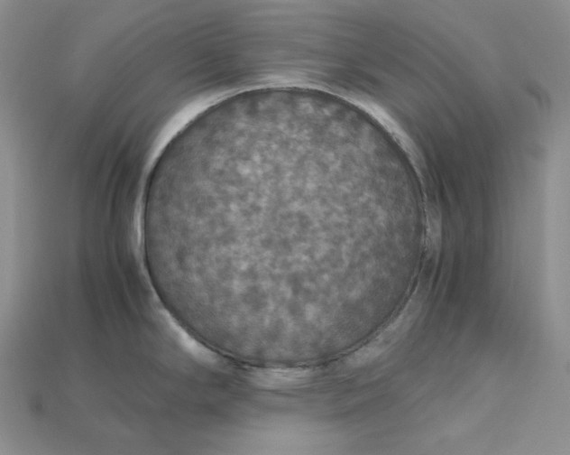 X0000115181294200911121753