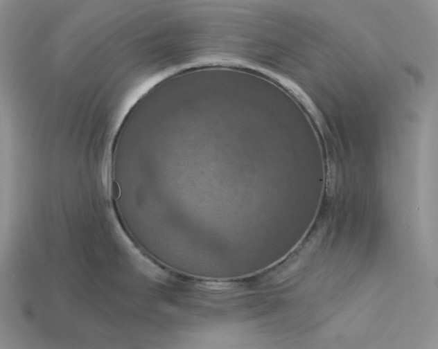 X0000115181295200911121753