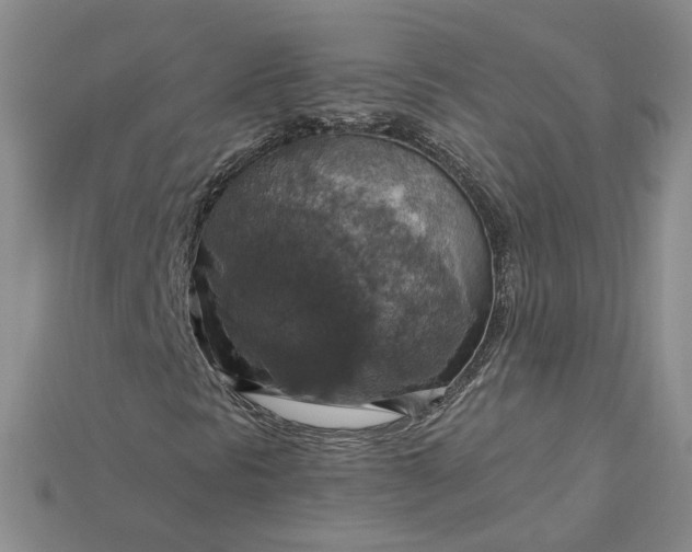 X0000115181297200911121752