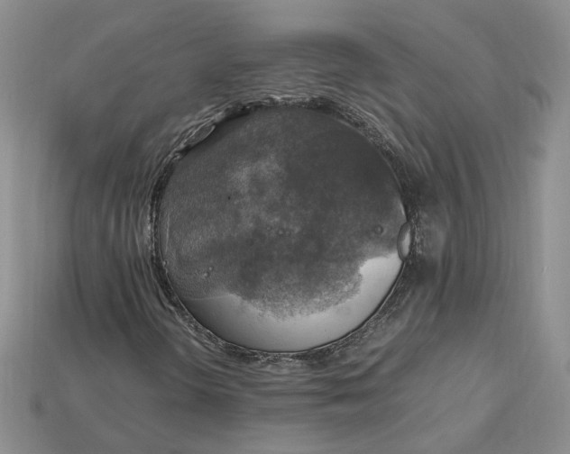 X0000115181298200911121752