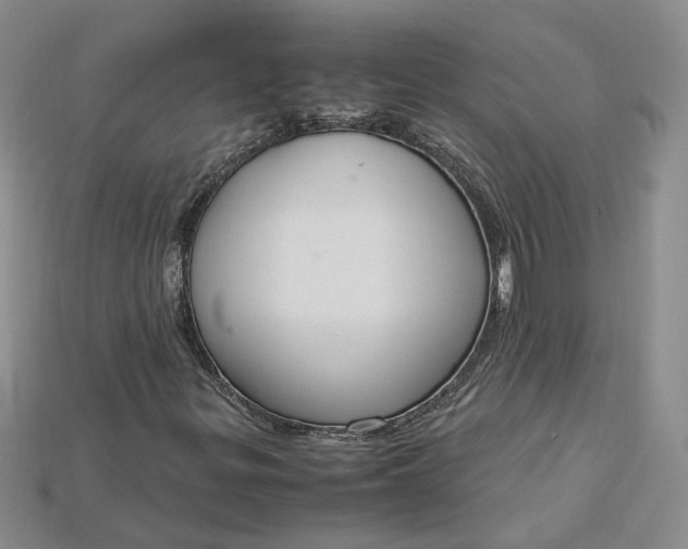 X0000115181299200911121752