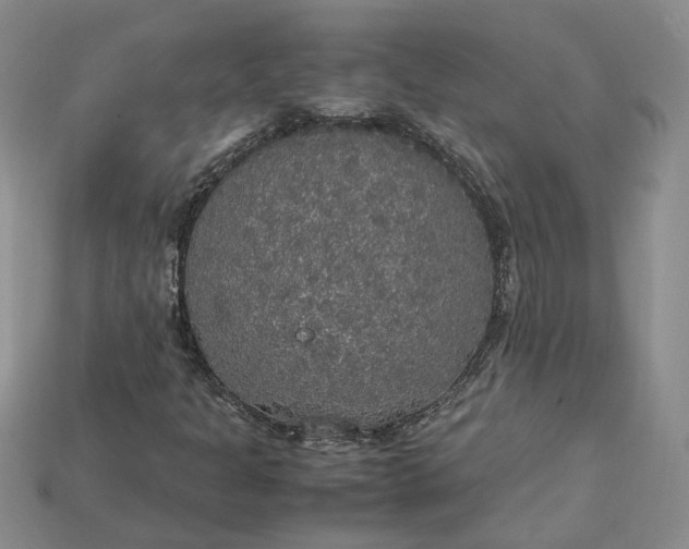 X0000115181301200911121752