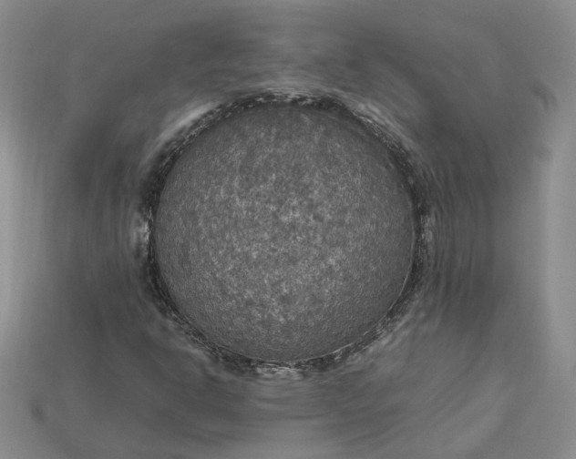 X0000115181302200911121752