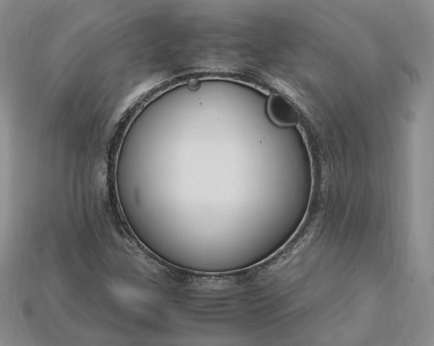 X0000115181307200911121752