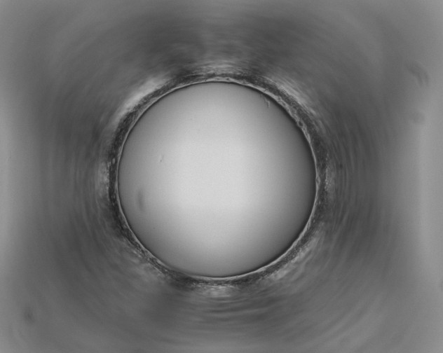 X0000115181309200911121752