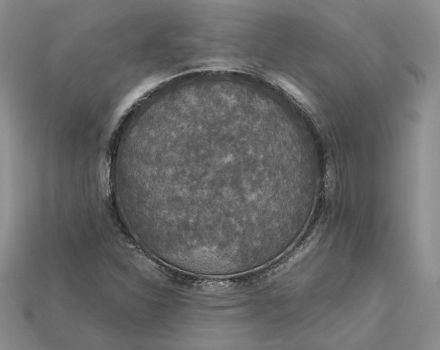 X0000115181310200911121752