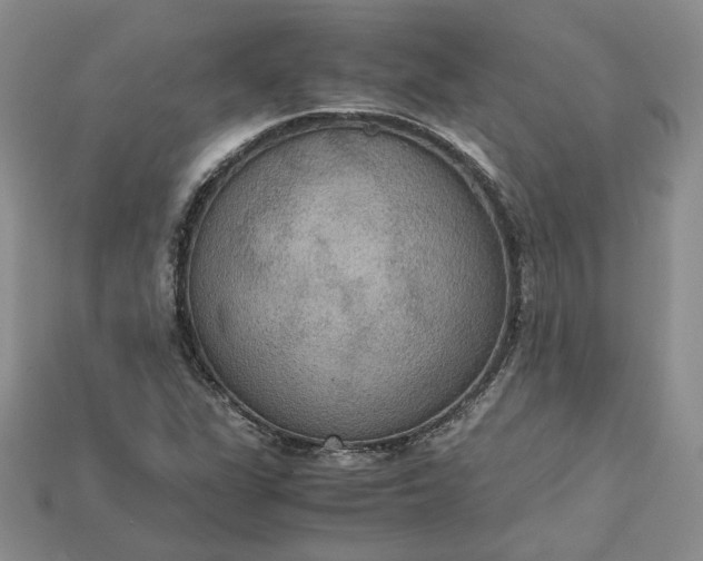 X0000115181311200911121752