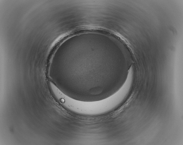 X0000115181314200911121752