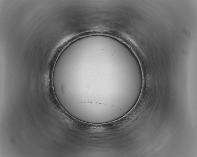 X0000115181315200911121752