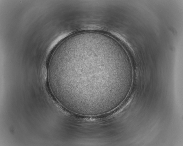 X0000115181317200911121752