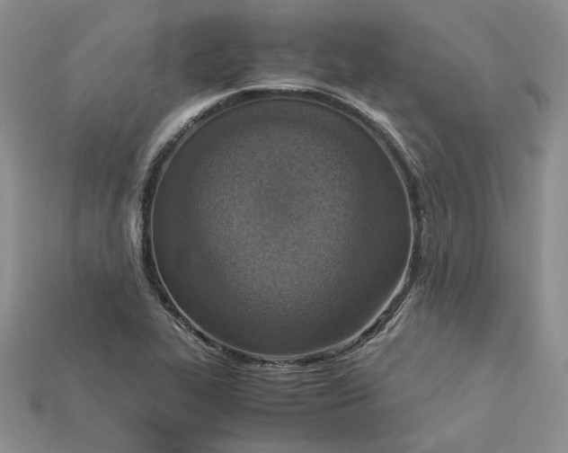 X0000115181319200911121752